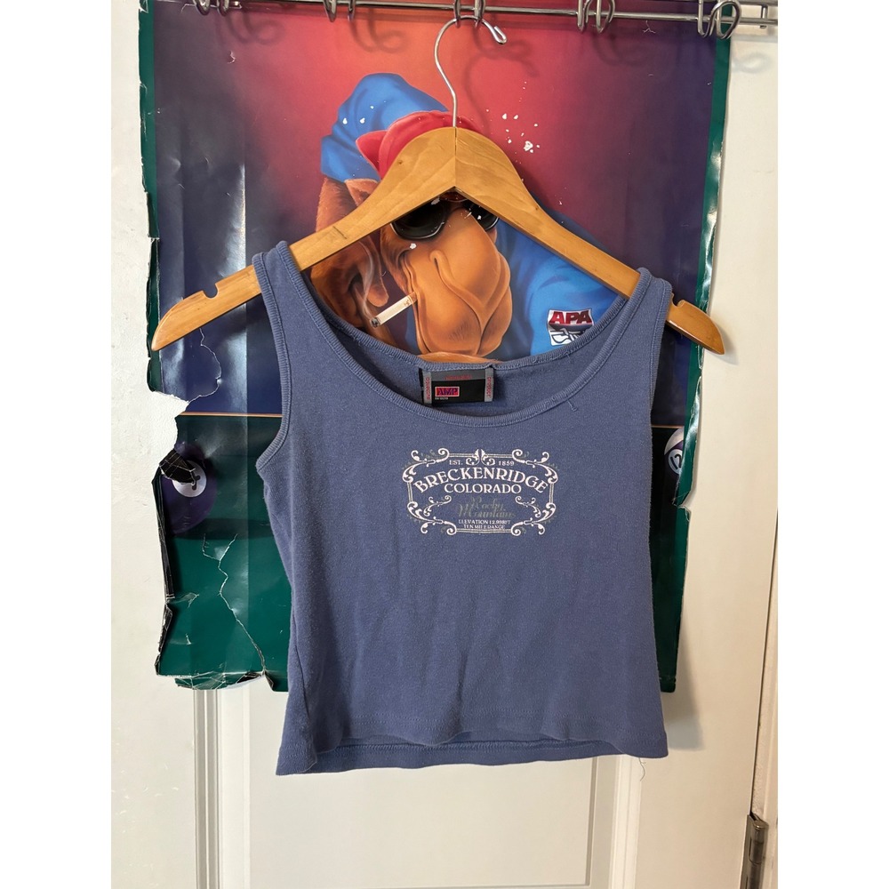 Authentic Mountain Product Breckenridge Colorado y2kTank Top Blue Womens S